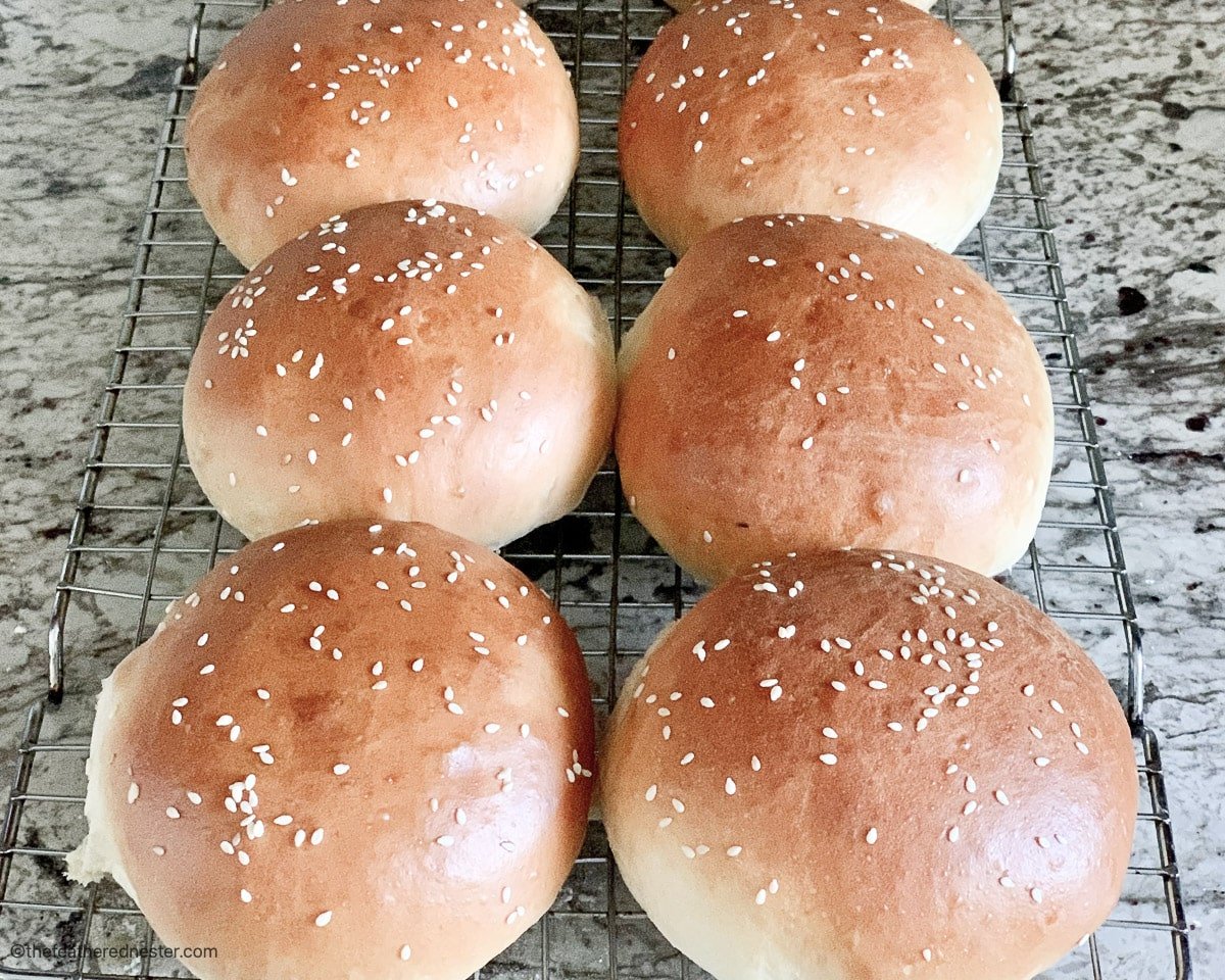 Six Hamburger buns on a cooling rack