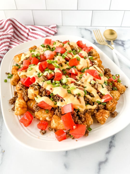 Recipes Using Tachos Loaded Tater Tots (Totchos) - The Feathered Nester