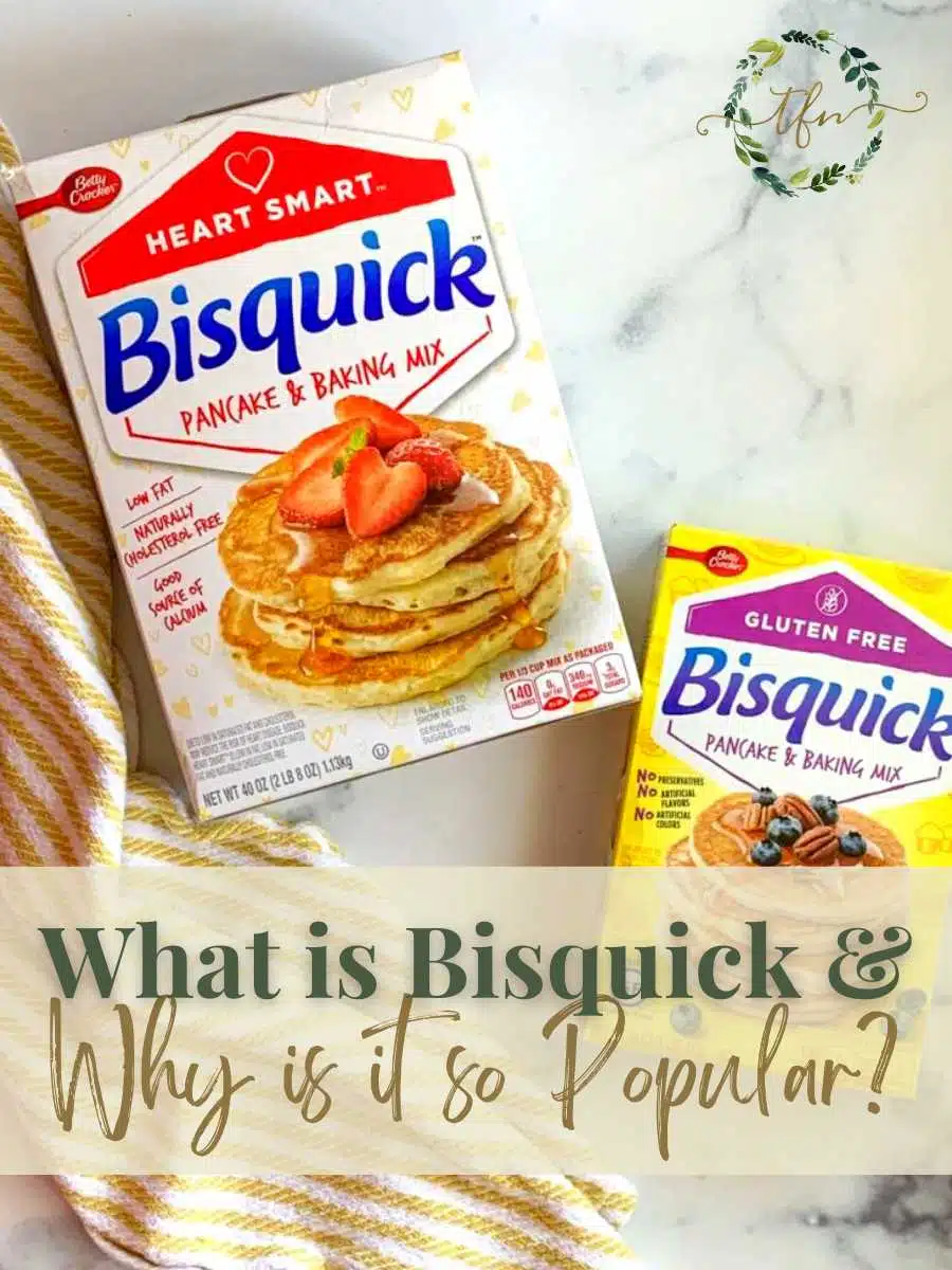 Two boxes of Bisquick mix and a text saying "What is Bisquick and Why is it so popular?".