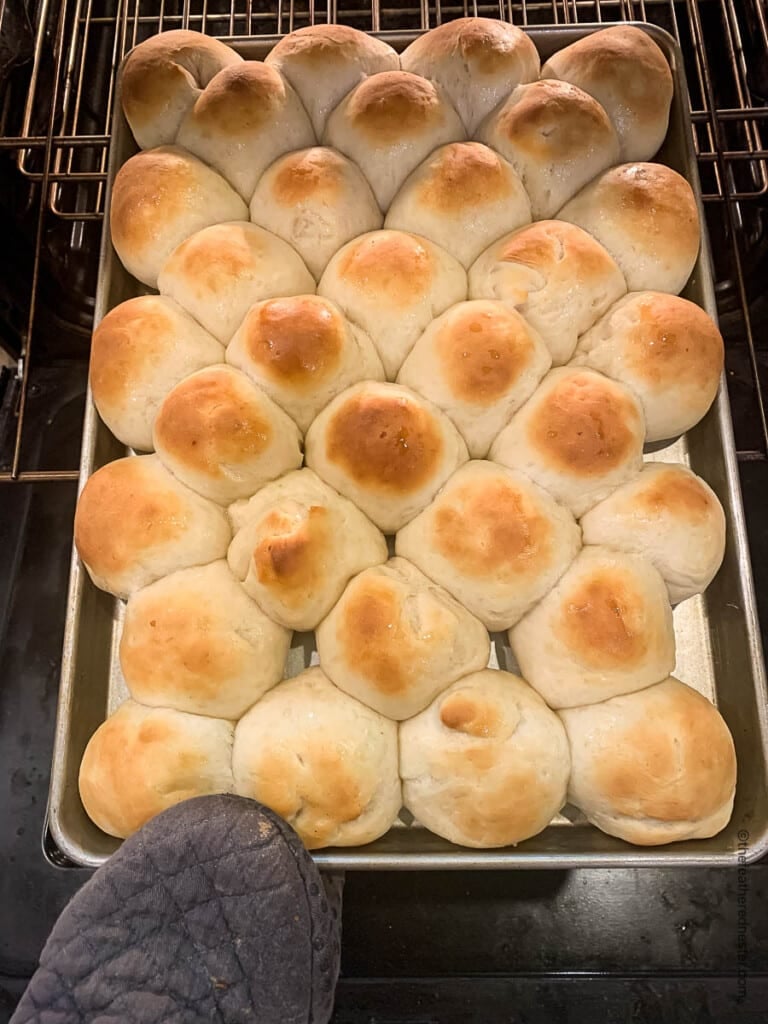 Removing pan of pull apart bread from the oven.