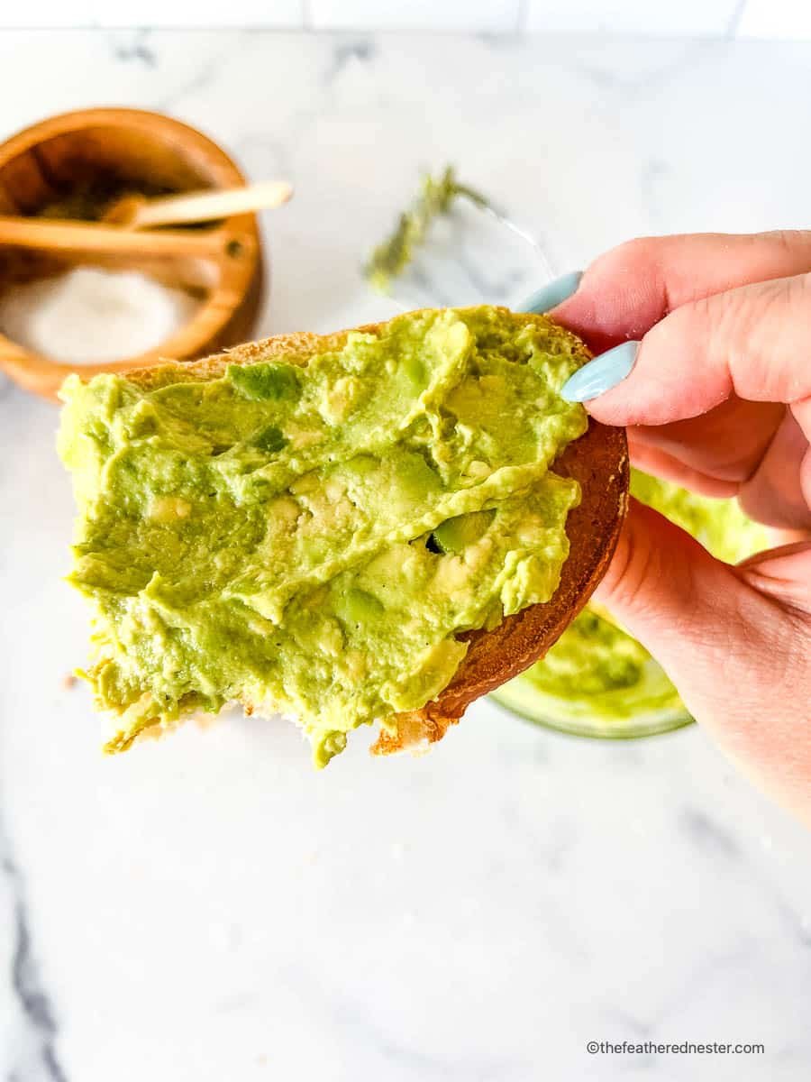 Creamy avocado spread topping on a slice of toast.