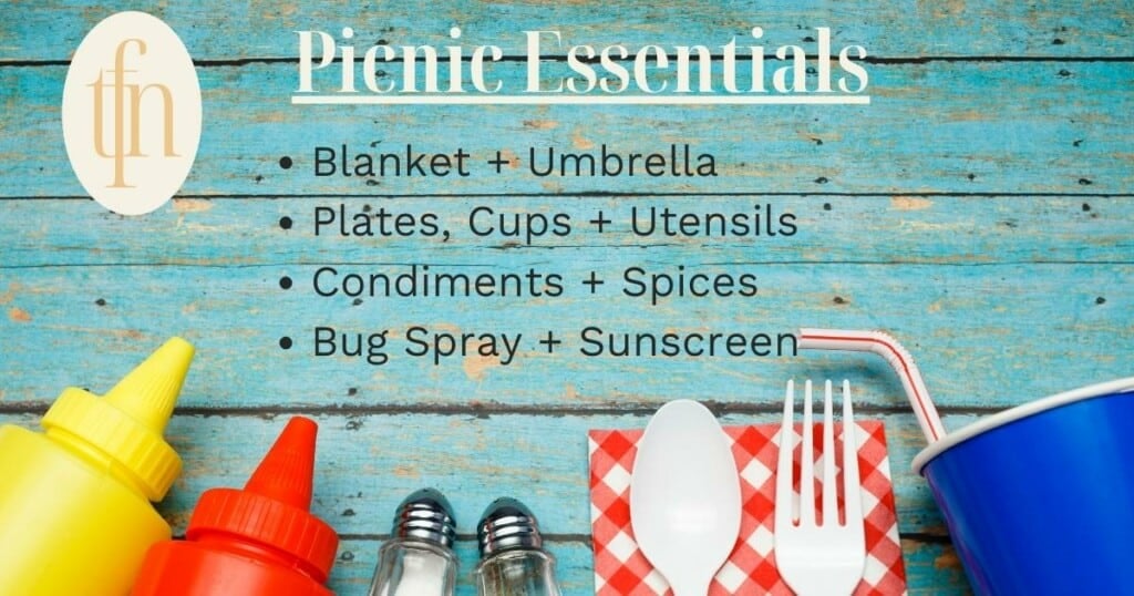 titled graphic of cheap picnic ideas.