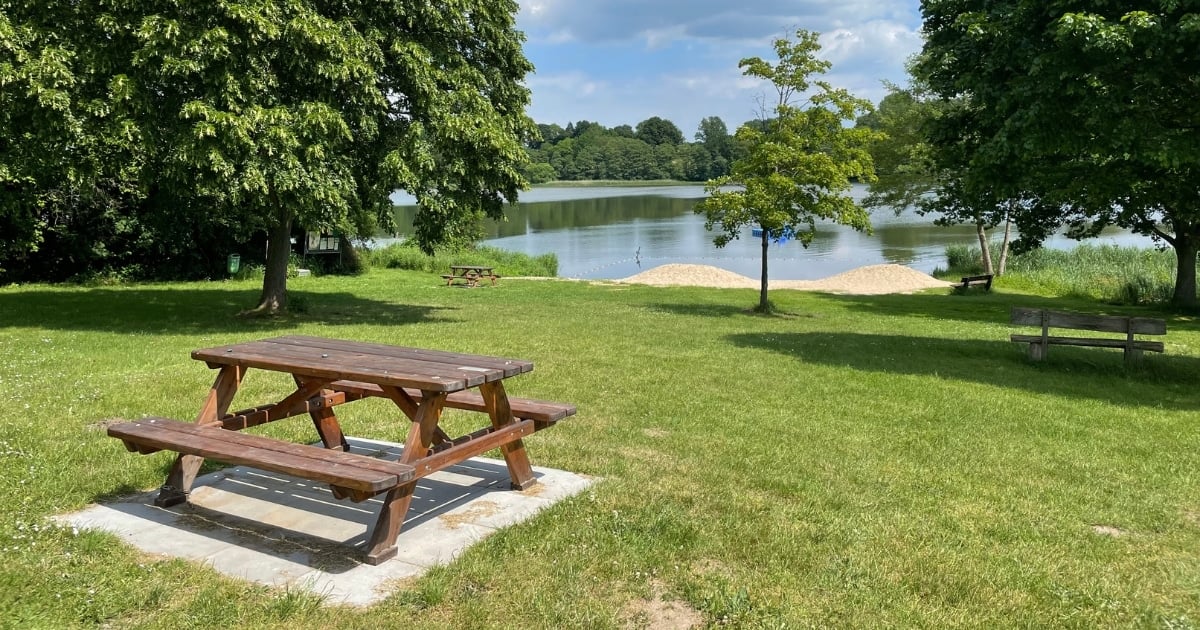 wooden tables with seats in a serene wooded area next to a lake.