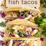 A vertical image with the title "GRILLED fish tacos" in the center. The main image is an overhead shot of four fish tacos stuffed with grilled fish, purple cabbage slaw, and cilantro in corn tortillas. The website "TheFeatheredNester.com" is at the bottom.