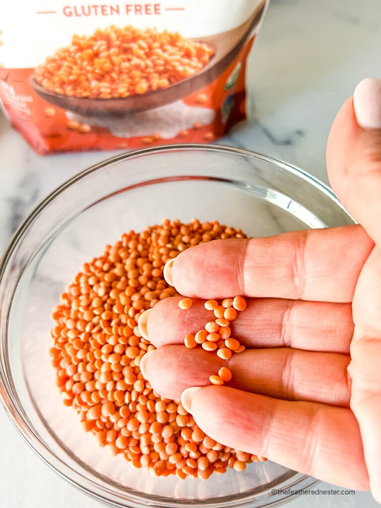 Woman's hand holding very tiny uncooked grains of food.