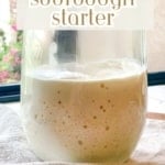 a graphic image of How to Make a Sourdough Starter.