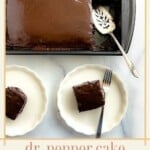 Graphic with image of chocolate cake and text on the bottom.