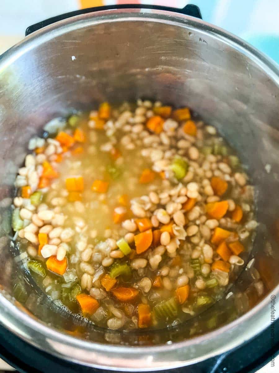 Raw ingredients for navy bean soup in the Instant Pot.