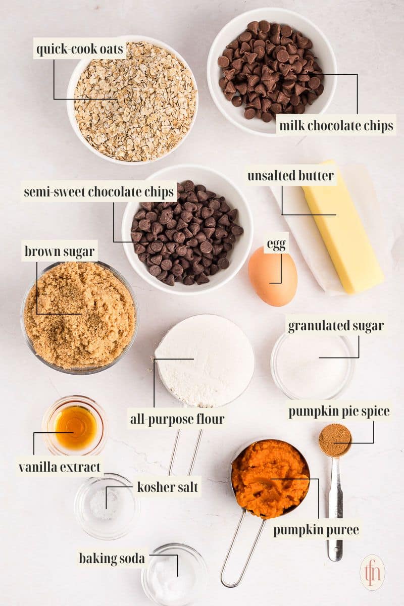 Labeled ingredient image for pumpkin oatmeal chocolate chip cookie recipe.