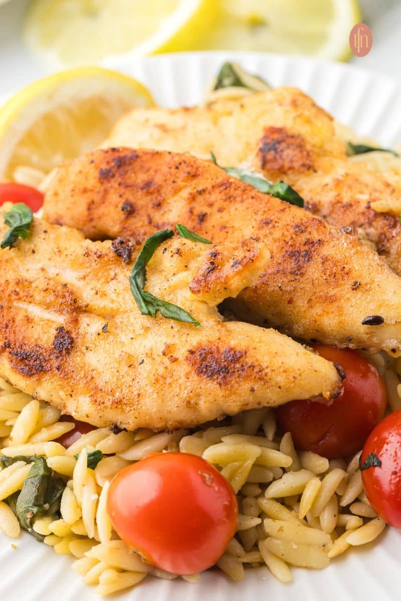 A plate of chicken and orzo.