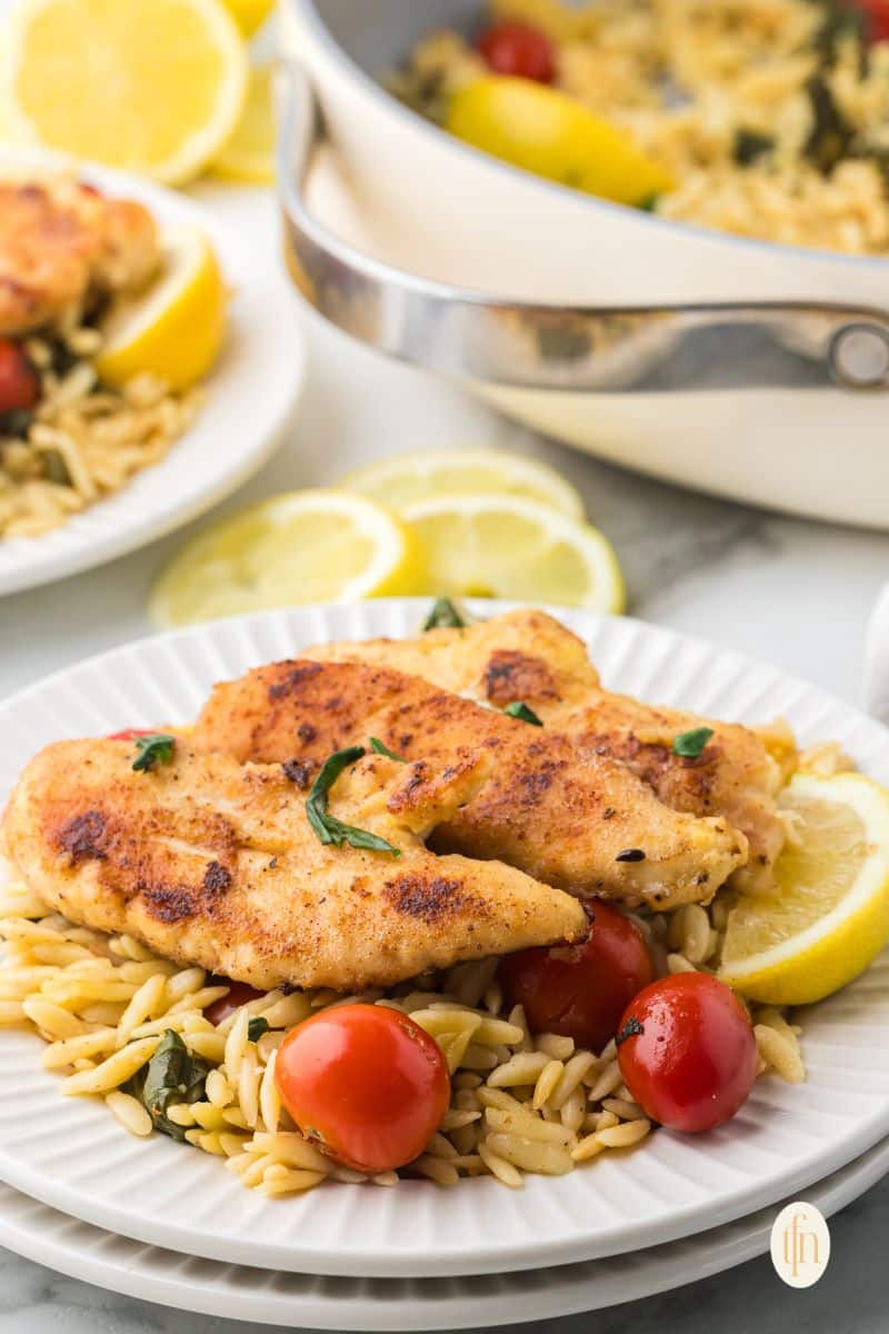 A plate of chicken and orzo.