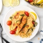 A plate of chicken and orzo.