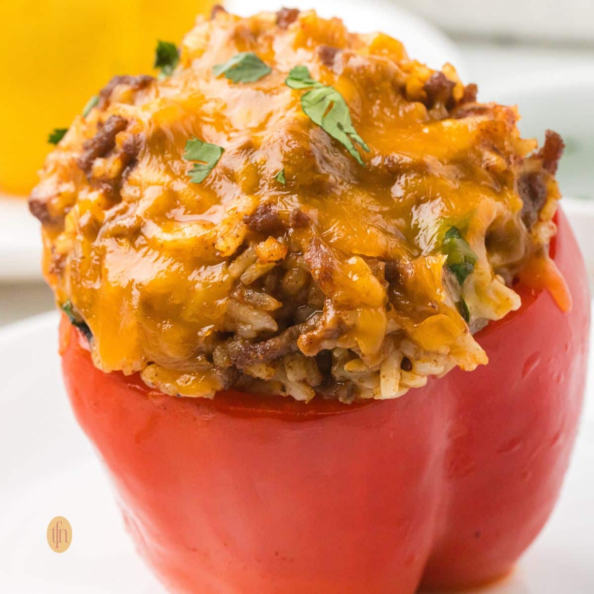 A close-up, square-cropped shot of a single, baked red taco stuffed bell pepper on a white plate, topped with melted cheddar cheese and cilantro.
