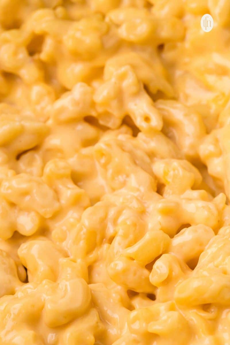 Close up of mac and cheese.
