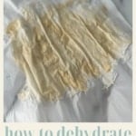 Titled graphic image of dried starter.