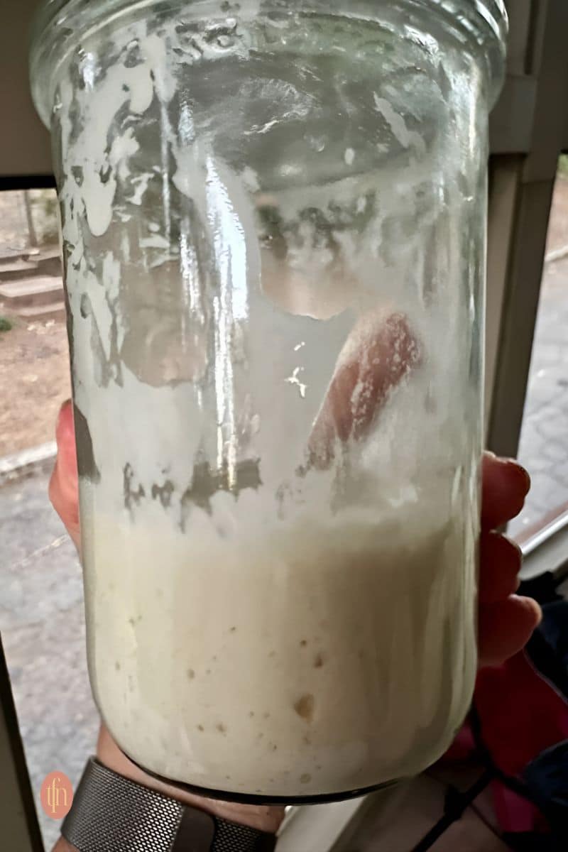 A sourdough starter in a weck jar.