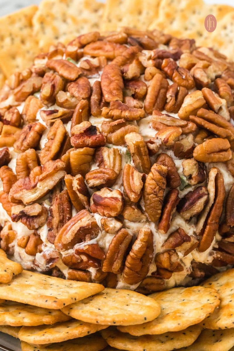Close-up, slightly elevated shot of the entire top surface of the pecan-covered cheese ball, surrounded by a low pile of round crackers.