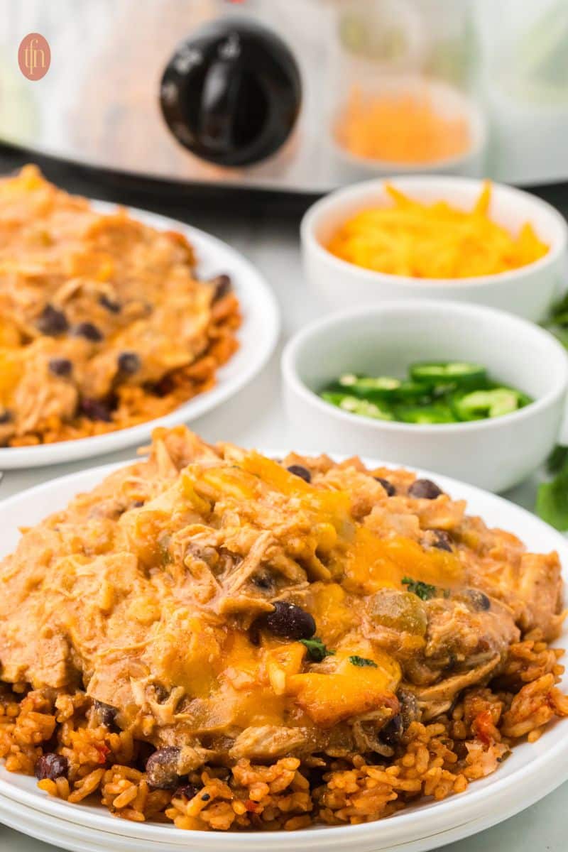 a plate of chicken slow cooker enchiladas.