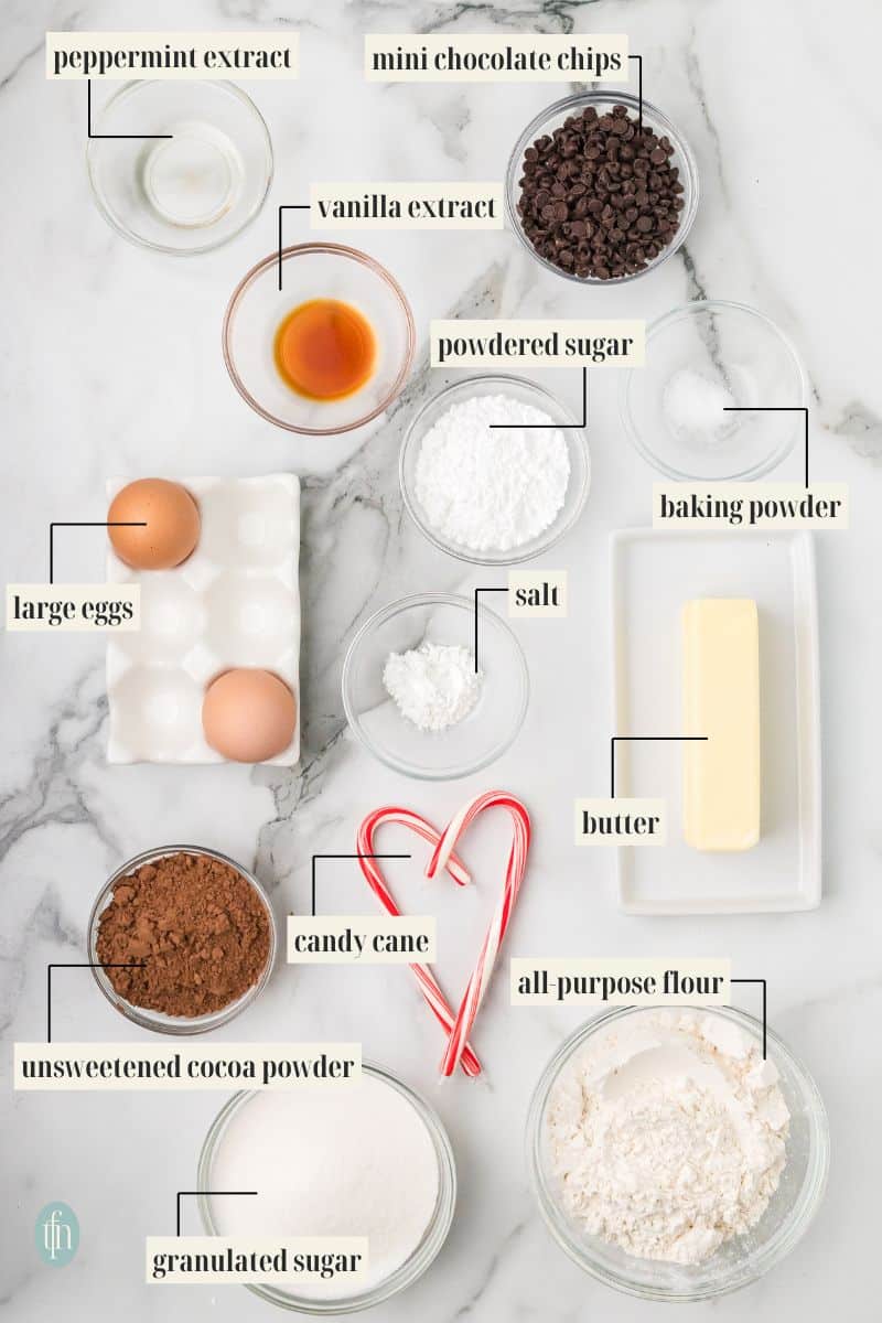 ingredients for this recipe: all-purpose flour, unsweetened cocoa powder, baking powder, salt, unsalted butter, granulated sugar, eggs, vanilla extract, peppermint extract, mini chocolate chips, powdered sugar, and candy cane.