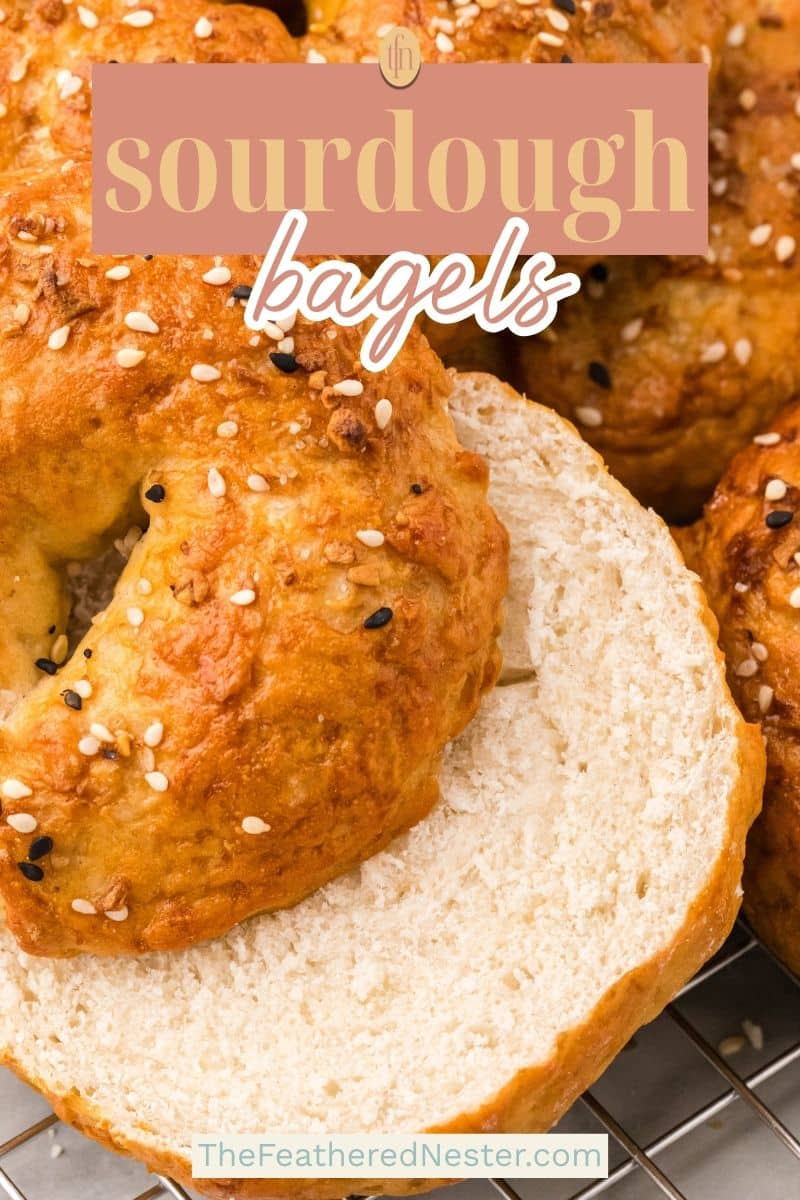a graphic pin image for sourdough bagels.