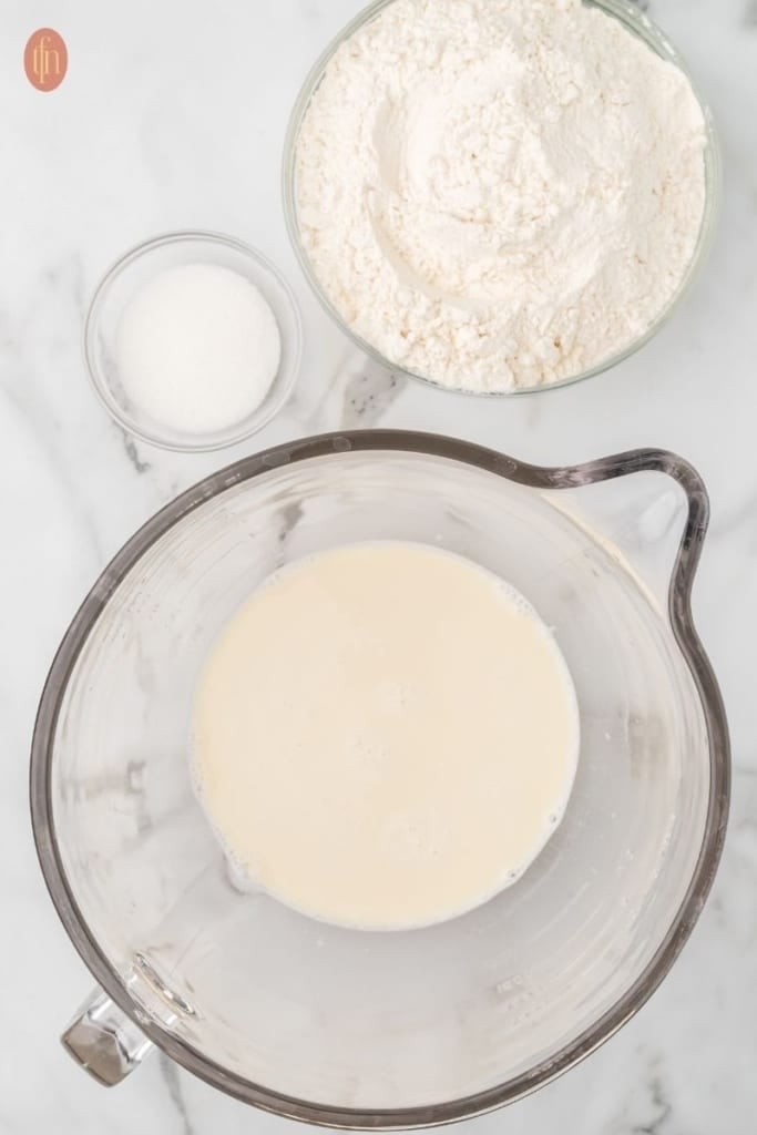 ingredients for sourdough bagel: a bread flour and baking soda.