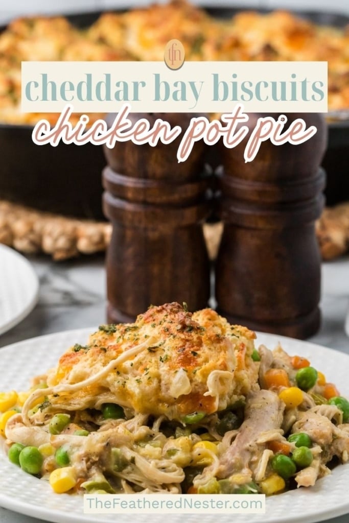 a graphic pin image for chicken pot pie with biscuit topping.