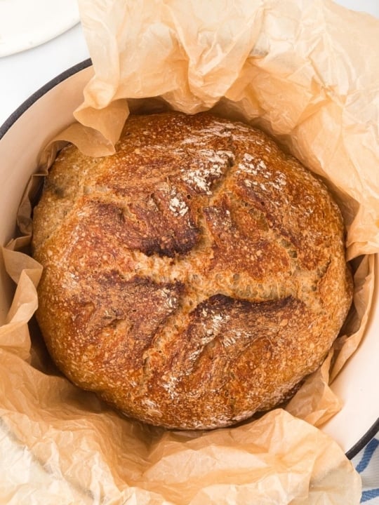 a bowl of sourdough bread rye recipe.