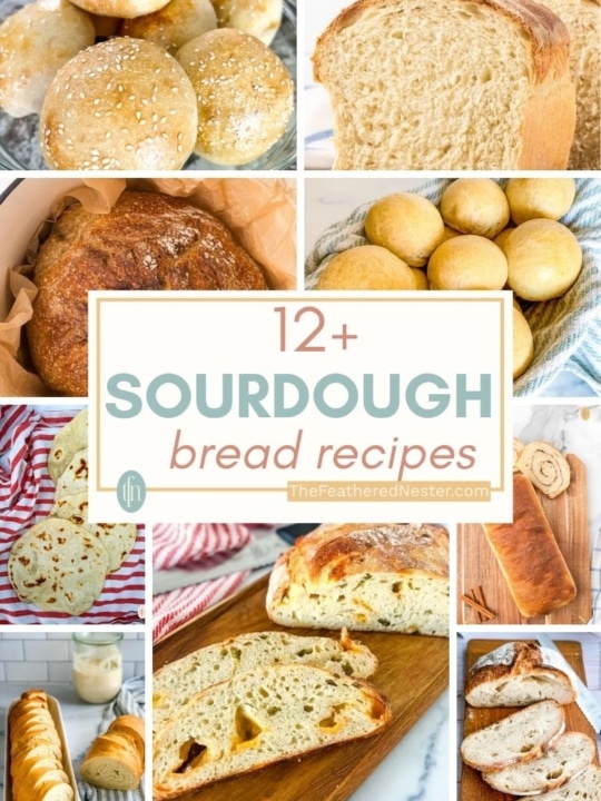 Titled graphic collage for 12 Sourdough Bread Recipes.
