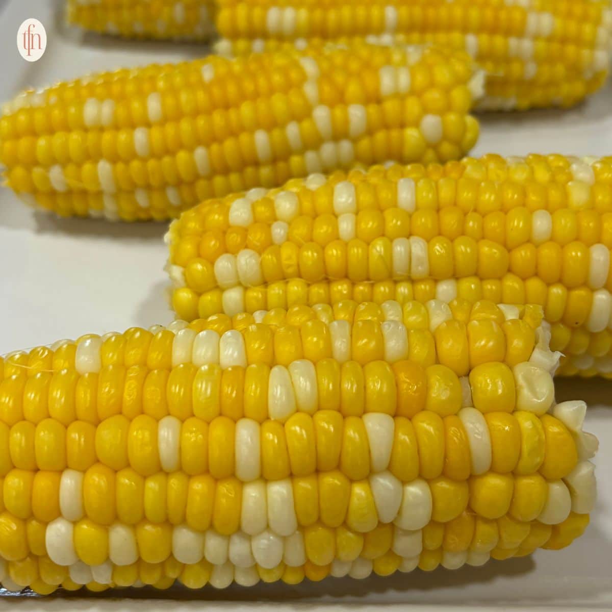 corn on the cob square image.